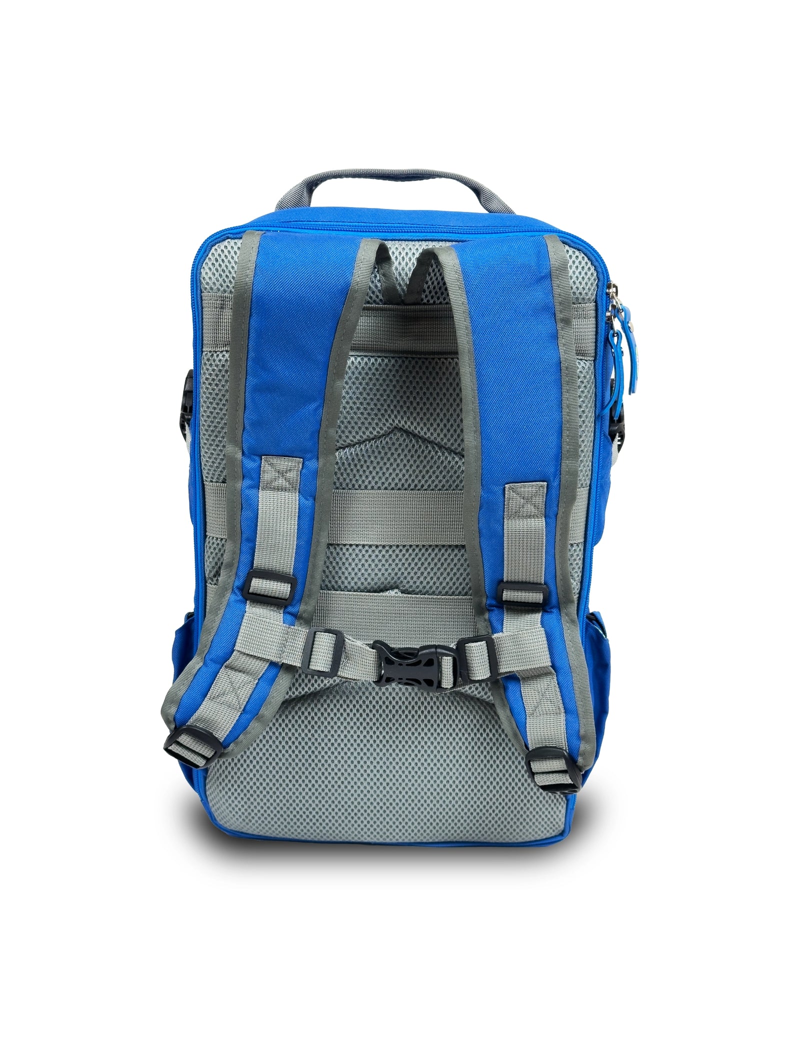 Skate Backpack Blue